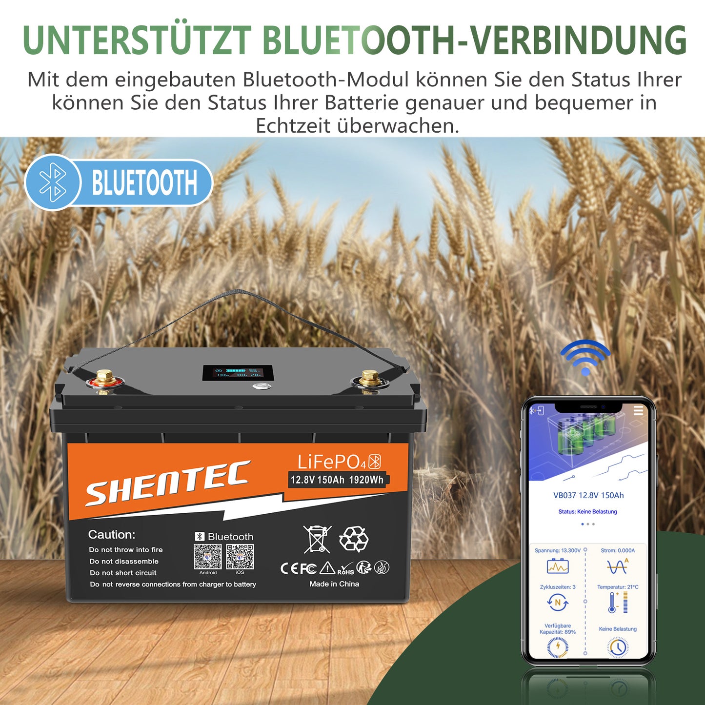 Akumulator LiFePO4 SHENTEC 12/24V 100/150/200/300Ah z BMS do instalacji solarnej, łodzi, off-grid i RV